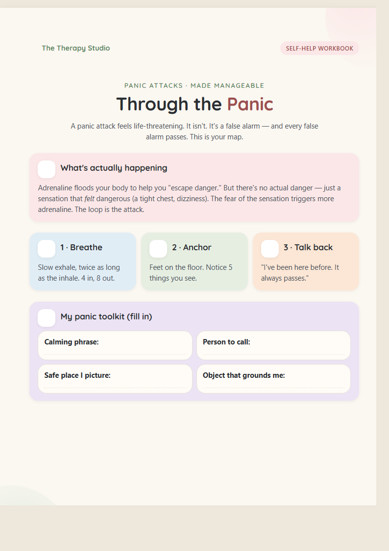Through the Panic preview